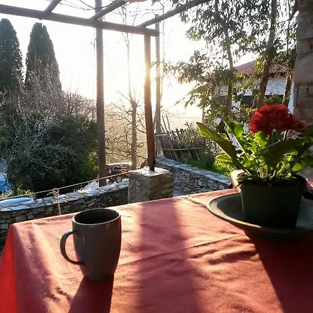 펜션 Old Stone House Kazaviti *